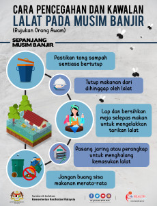 Cara Pencegahan dan Kawalan Lalat Sepanjang Musim Banjir